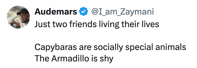 Audemars @I_am_Zaymani Just two friends living their lives Capybaras are socially special animals The Armadillo is shy