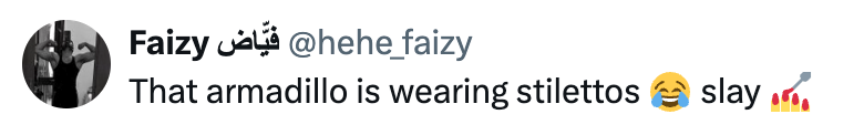 Faizy @hehe_faizy That armadillo is wearing stilettos slay