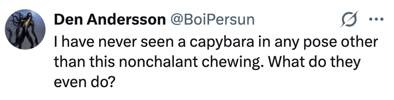 Den Andersson @BoiPersun 0 I have never seen a capybara in any pose other than this nonchalant chewing. What do they even do?