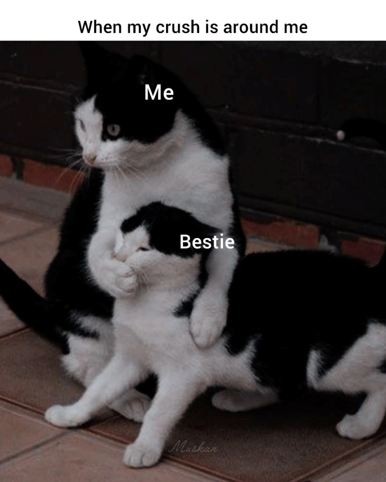 When my crush is around me Me Bestie Muskan
