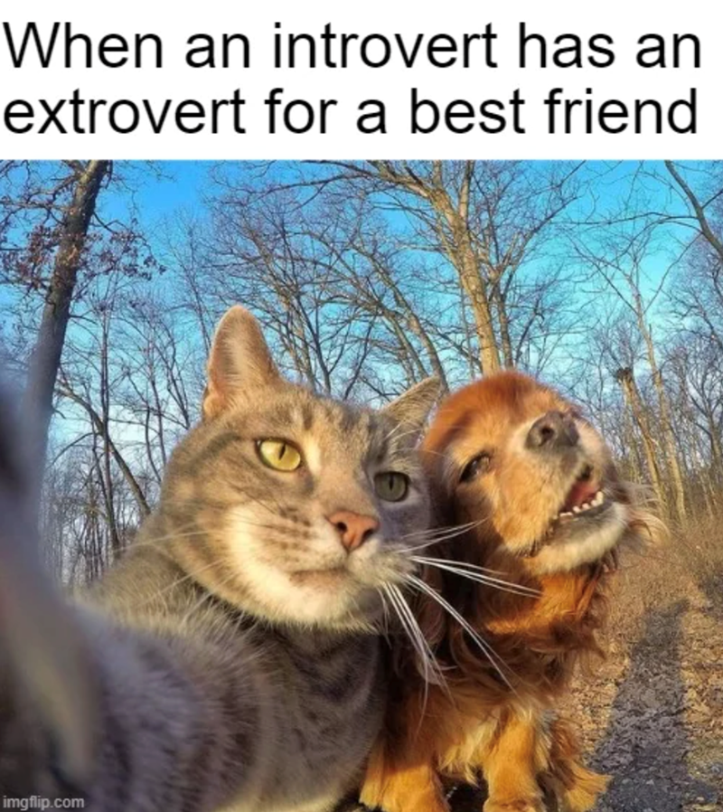 When an introvert has an extrovert for a best friend imgflip.com