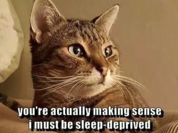 you're actually making sense i must be sleep-deprived