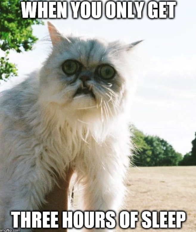 WHEN YOU ONLY GET THREE HOURS OF SLEEP imgflip.com