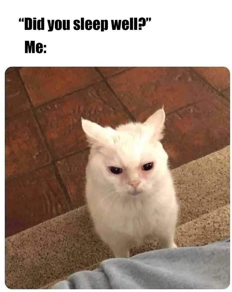 "Did you sleep well?" Me: