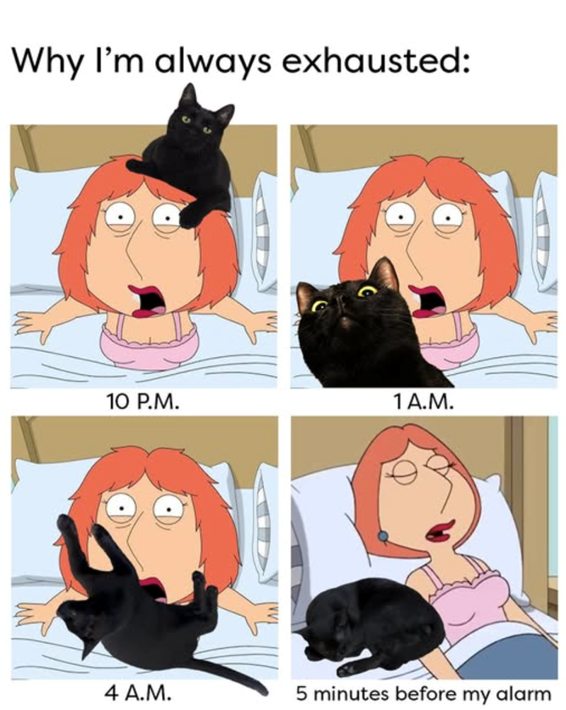 Why I'm always exhausted: 10 P.M. 1 A.M. 4 A.M. 5 minutes before my alarm