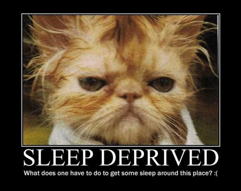 SLEEP DEPRIVED What does one have to do to get some sleep around this place? :(