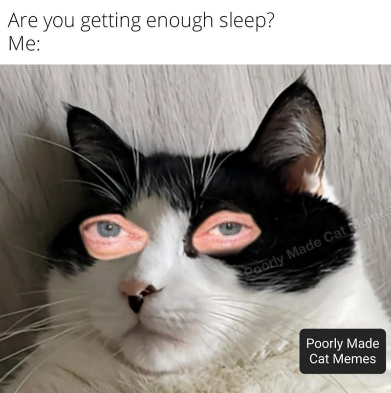 Are you getting enough sleep? Me: Poorly Made Cat Meme Poorly Made Cat Memes