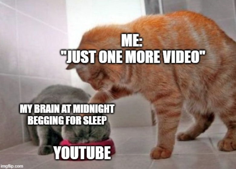 ME: "JUST ONE MORE VIDEO" imgflip.com MY BRAIN AT MIDNIGHT BEGGING FOR SLEEP YOUTUBE