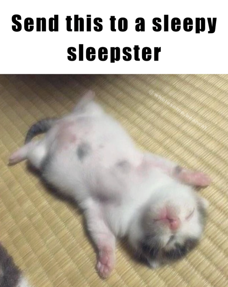 Send this to a sleepy sleepster