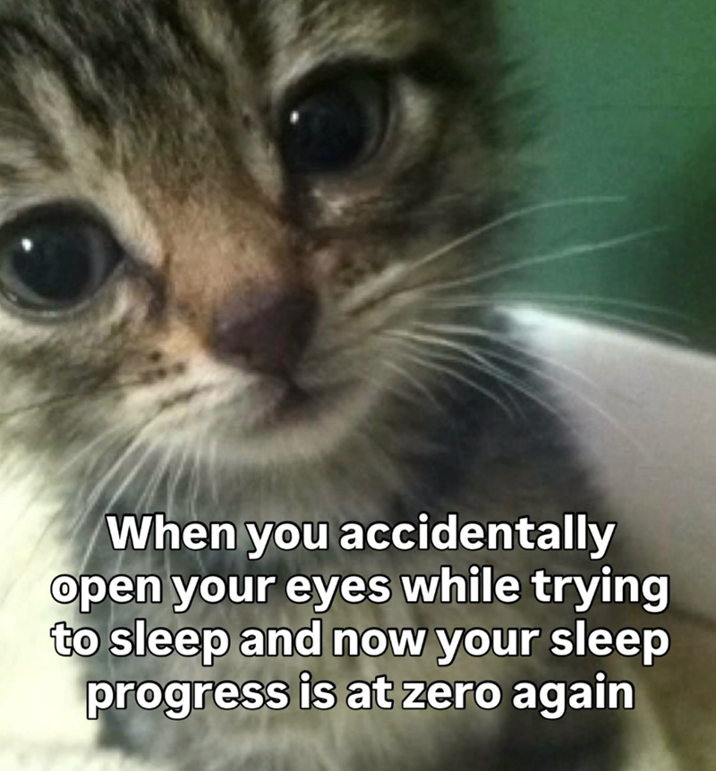 When you accidentally open your eyes while trying to sleep and now your sleep progress is at zero again