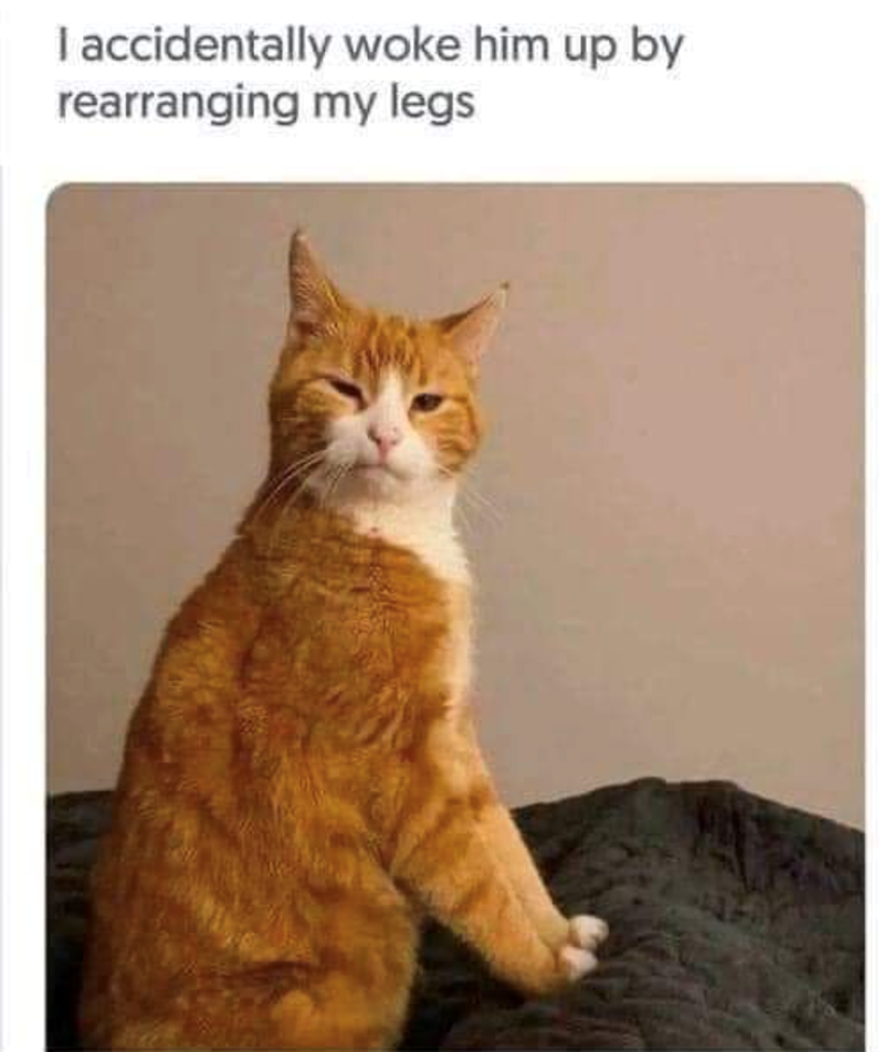 I accidentally woke him up by rearranging my legs