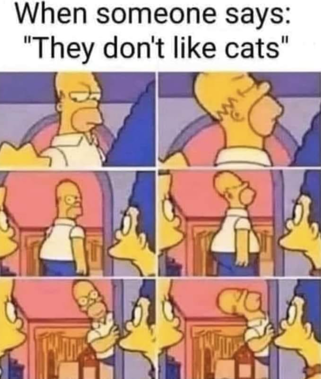 When someone says: "They don't like cats"