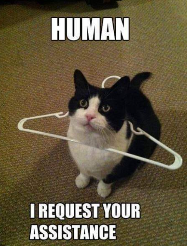 HUMAN I REQUEST YOUR ASSISTANCE