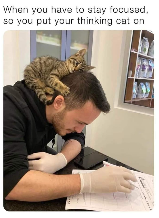 A/13 When you have to stay focused, so you put your thinking cat on