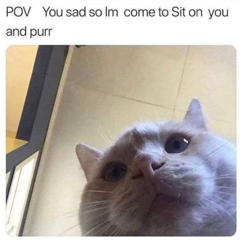 POV You sad so Im come to Sit on you and purr