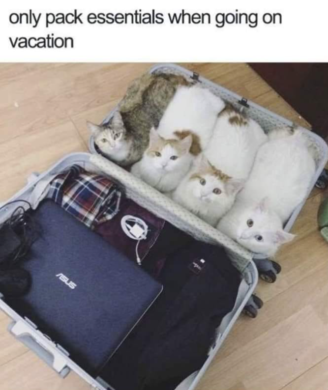 only pack essentials when going on vacation ASUS