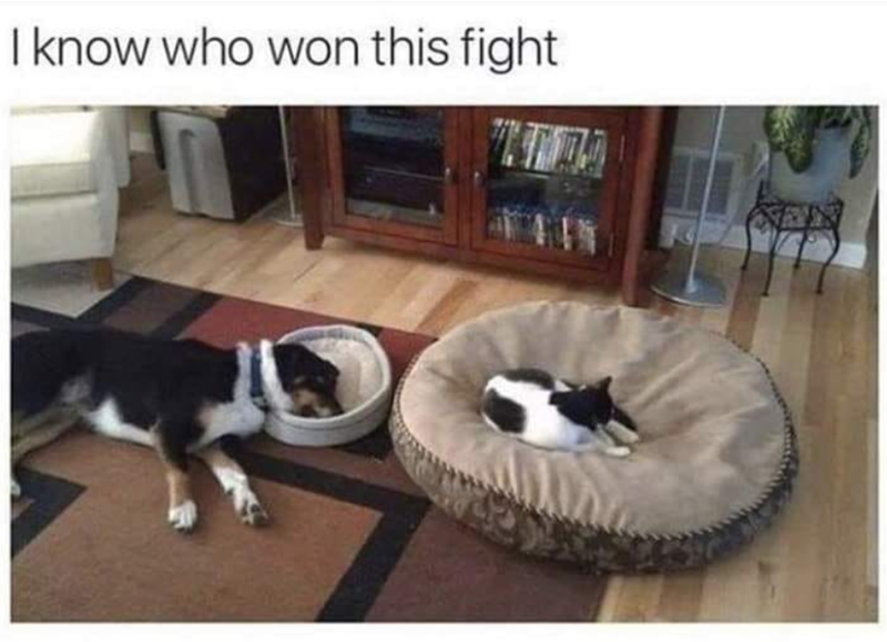 I know who won this fight