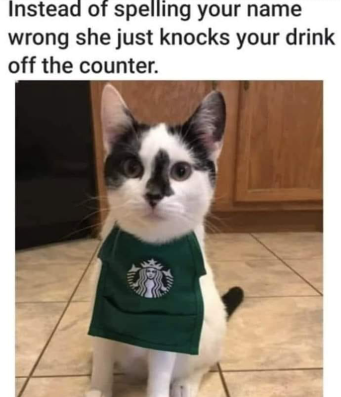 Instead of spelling your name wrong she just knocks your drink off the counter.