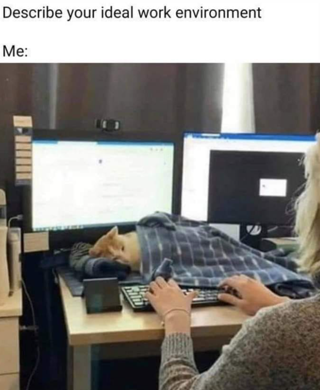 Describe your ideal work environment Me: