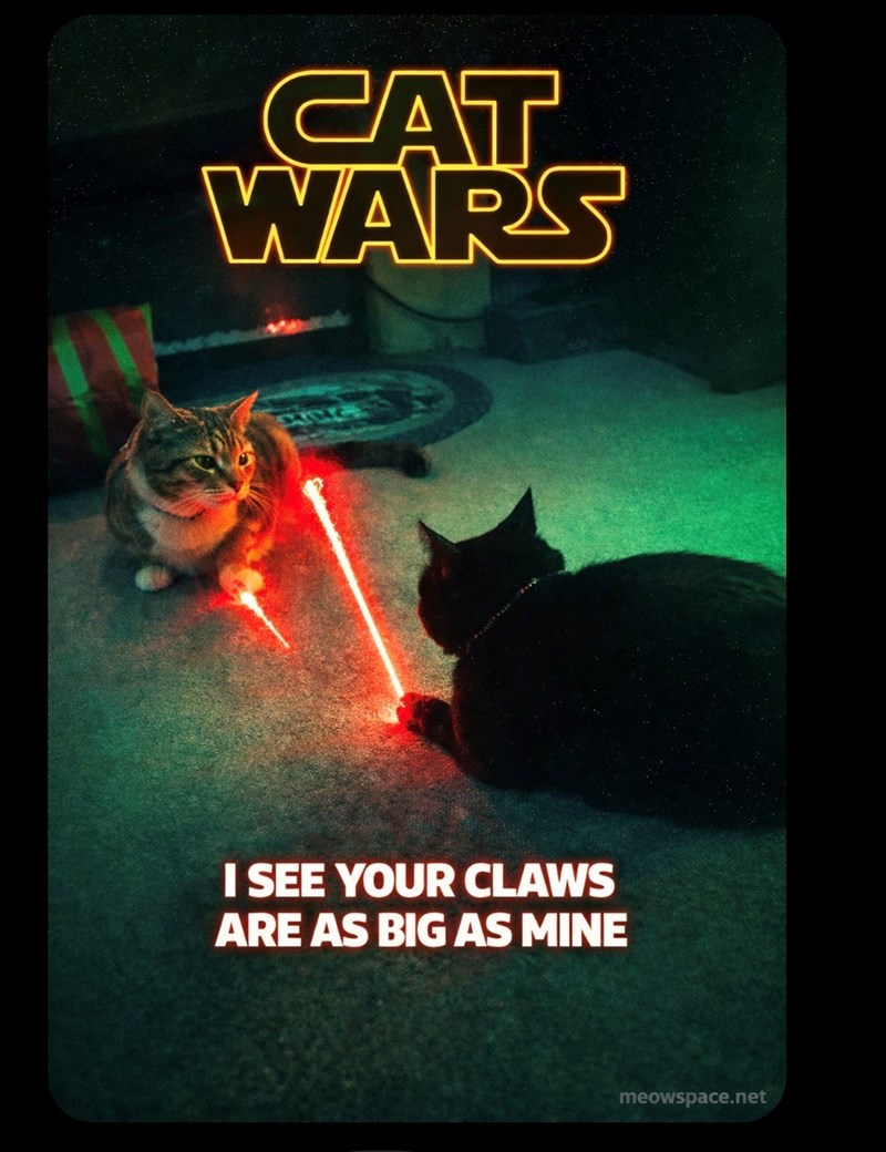 Cheezburger Image 10617659904