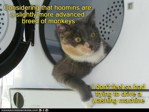 Cheezburger Image 10617660416