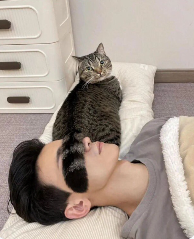 Cheezburger Image 10617667328