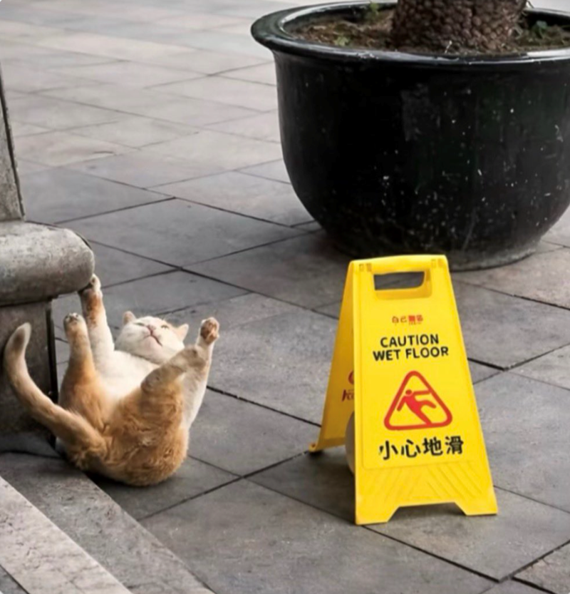 CAUTION WET FLOOR 小心地滑
