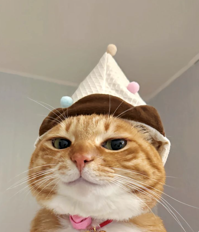 Cheezburger Image 10617670144