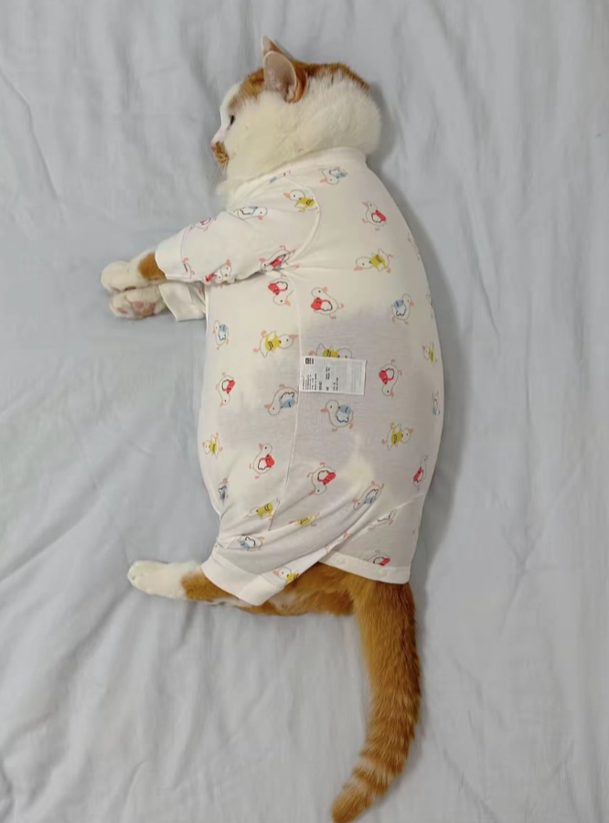 Cheezburger Image 10617671424