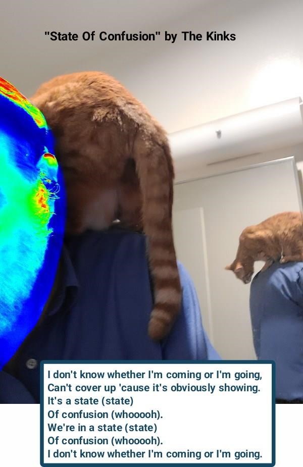 Cheezburger Image 10617673984