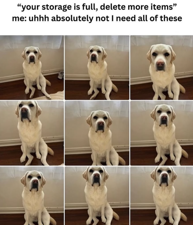 "your storage is full, delete more items" me: uhhh absolutely not I need all of these