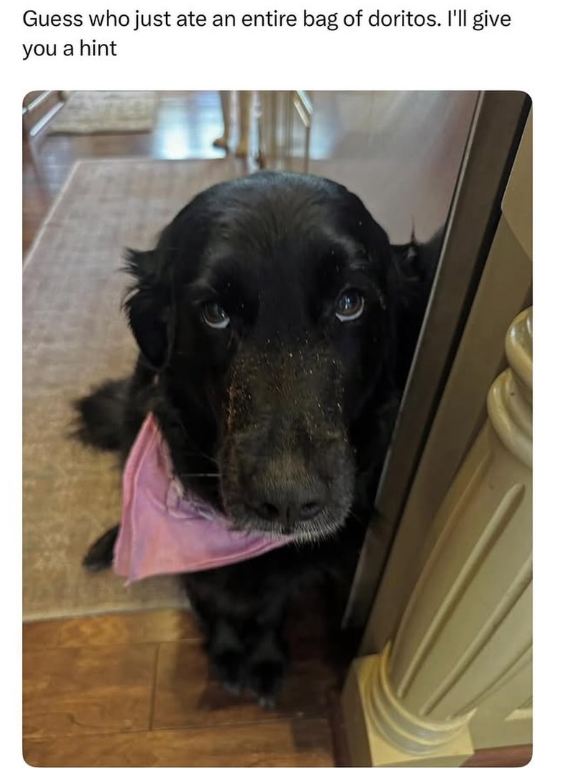 Guess who just ate an entire bag of doritos. I'll give you a hint