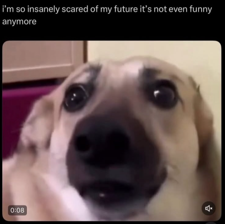 I'm so insanely scared of my future it's not even funny anymore 0:08