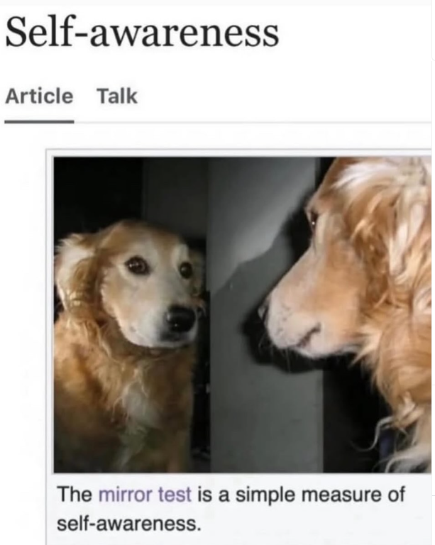 Self-awareness Article Talk The mirror test is a simple measure of self-awareness.