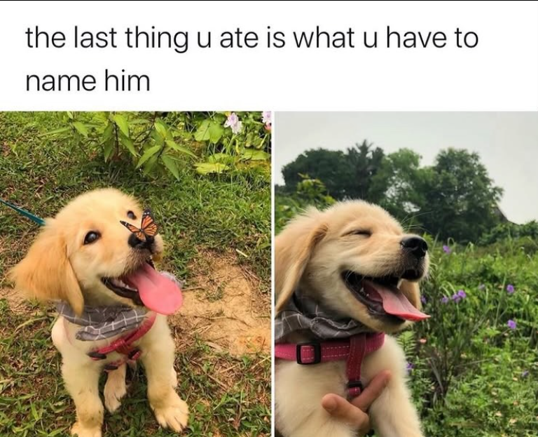 the last thing u ate is what u have to name him