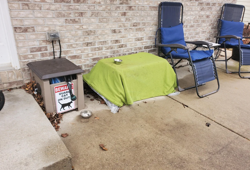 BEWA GUARD CAT ON DUT