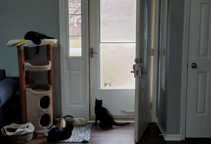 Cheezburger Image 10617684224