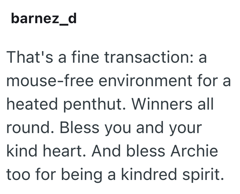 barnez_d That's a fine transaction: a mouse-free environment for a heated penthut. Winners all round. Bless you and your kind heart. And bless Archie too for being a kindred spirit.