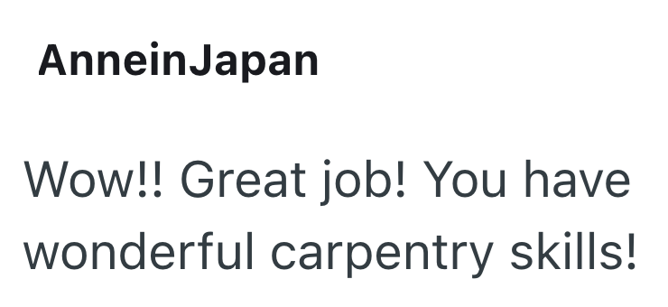 AnneinJapan Wow!! Great job! You have wonderful carpentry skills!