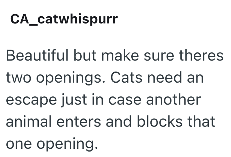 CA_catwhispurr Beautiful but make sure theres two openings. Cats need an escape just in case another animal enters and blocks that one opening.