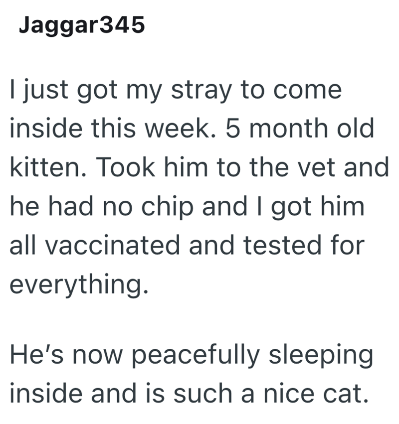 Jaggar345 I just got my stray to come inside this week. 5 month old kitten. Took him to the vet and he had no chip and I got him all vaccinated and tested for everything. He's now peacefully sleeping inside and is such a nice cat.
