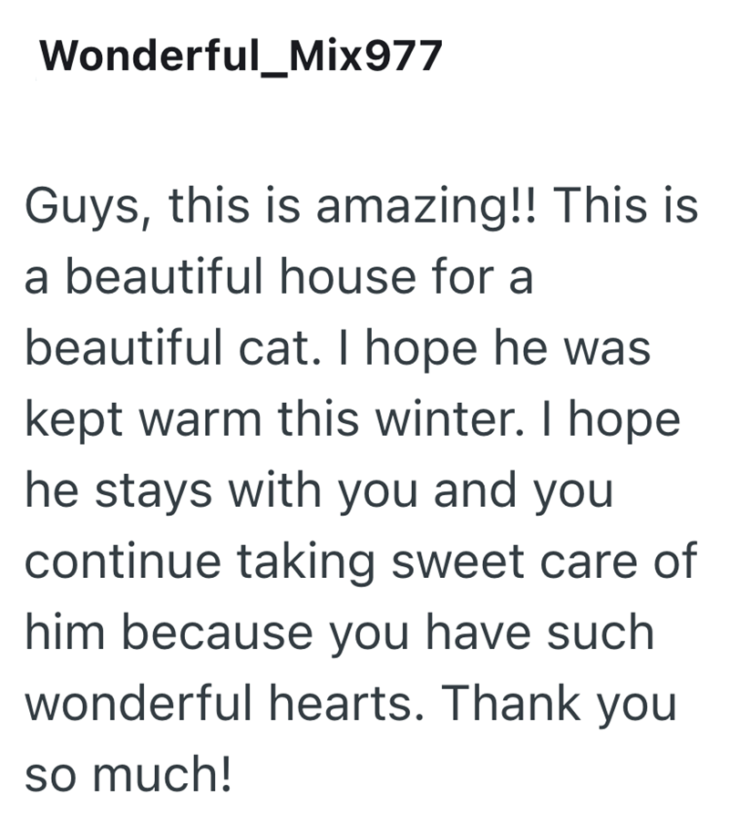Wonderful_Mix977 Guys, this is amazing!! This is a beautiful house for a beautiful cat. I hope he was kept warm this winter. I hope he stays with you and you continue taking sweet care of him because you have such wonderful hearts. Thank you so much!