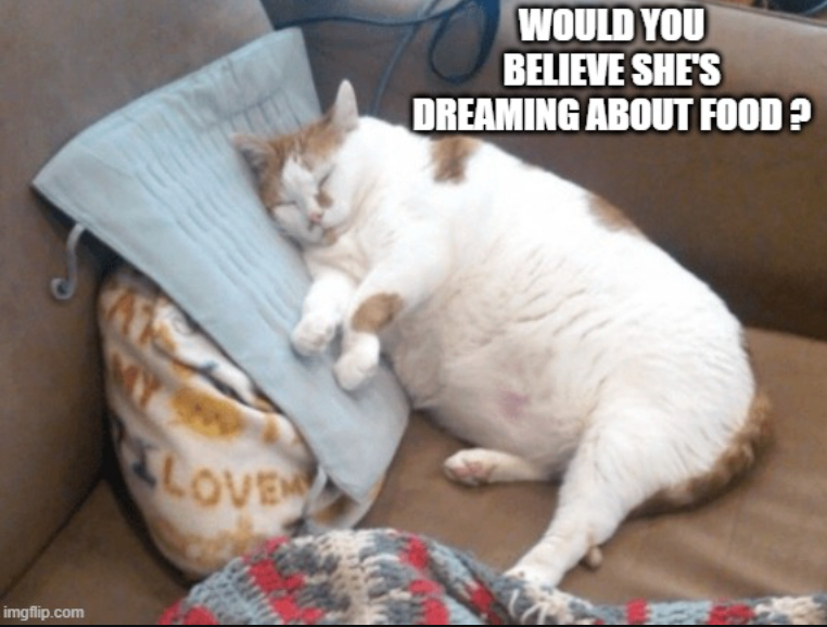 imgflip.com LOVE WOULD YOU BELIEVE SHE'S DREAMING ABOUT FOOD?