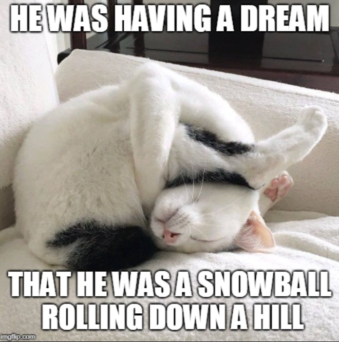 HE WAS HAVING A DREAM THAT HE WAS A SNOWBALL ROLLING DOWN A HILL imgflip.com