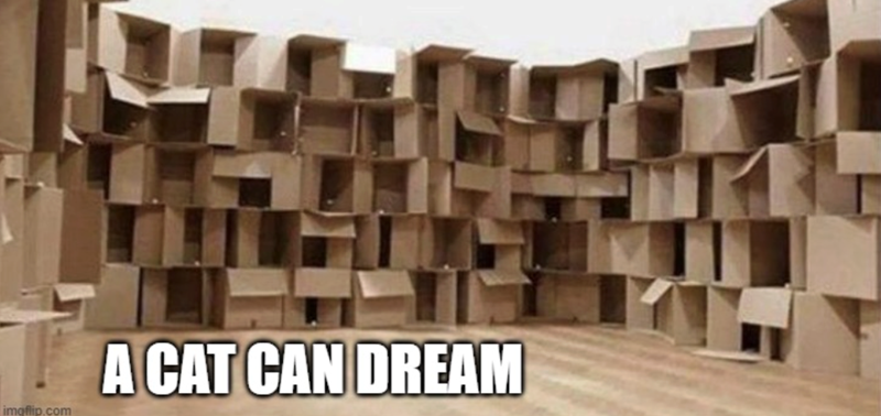 imgflip.com A CAT CAN DREAM