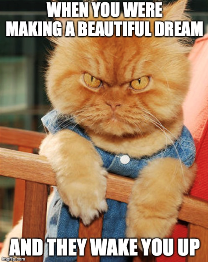 WHEN YOU WERE MAKING A BEAUTIFUL DREAM AND THEY WAKE YOU UP imgflip.com