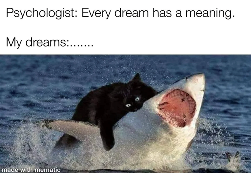 Psychologist: Every dream has a meaning. My dreams: made with mematic