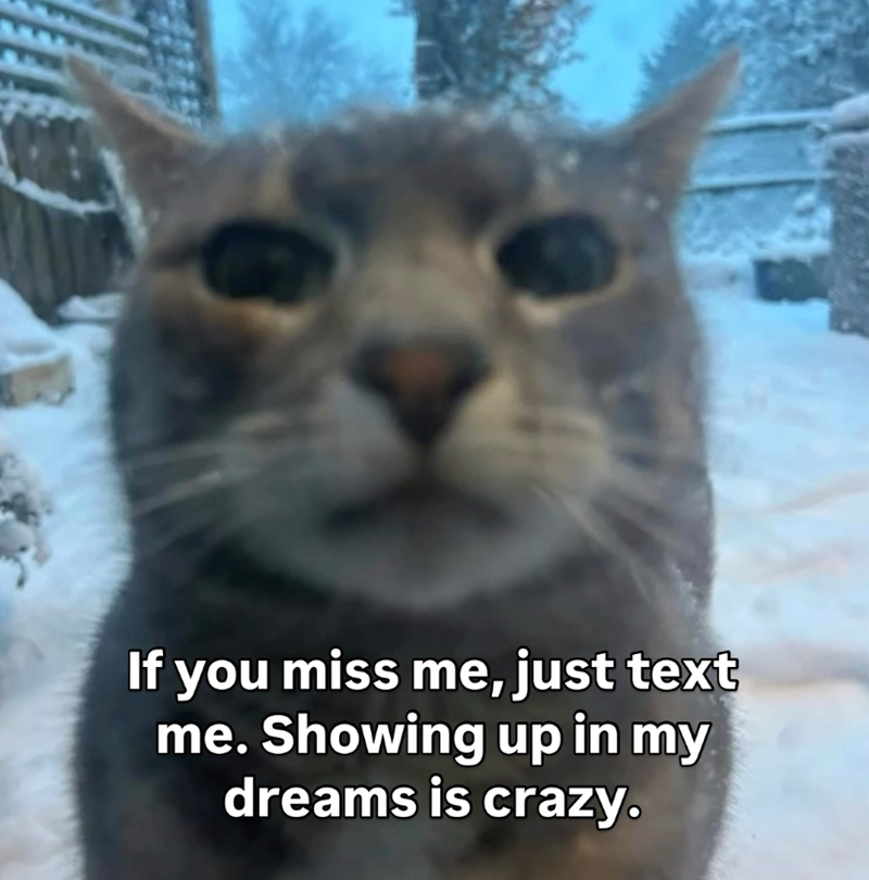 If you miss me, just text me. Showing up in my dreams is crazy.