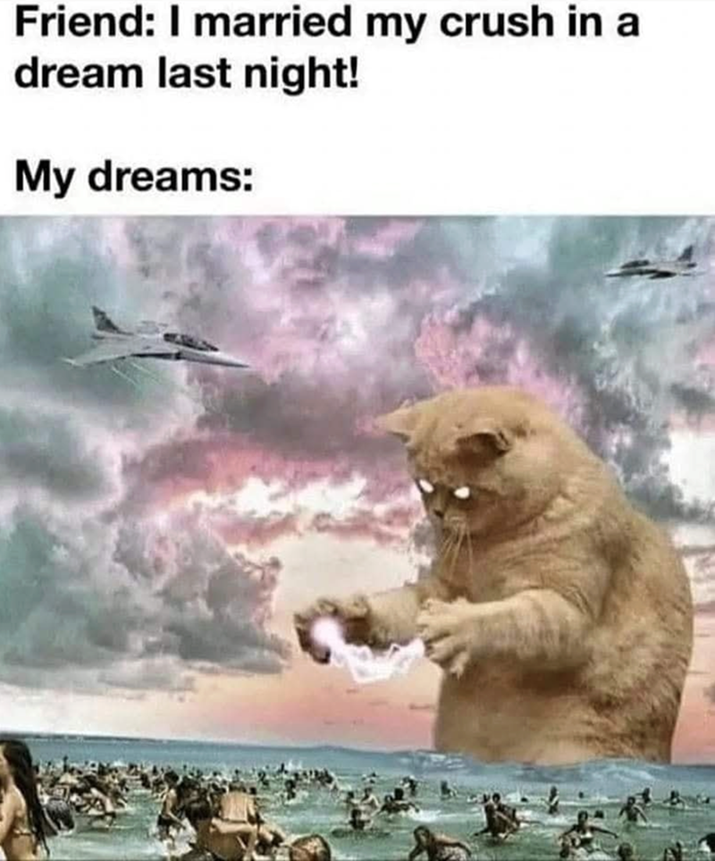 Friend: I married my crush in a dream last night! My dreams: