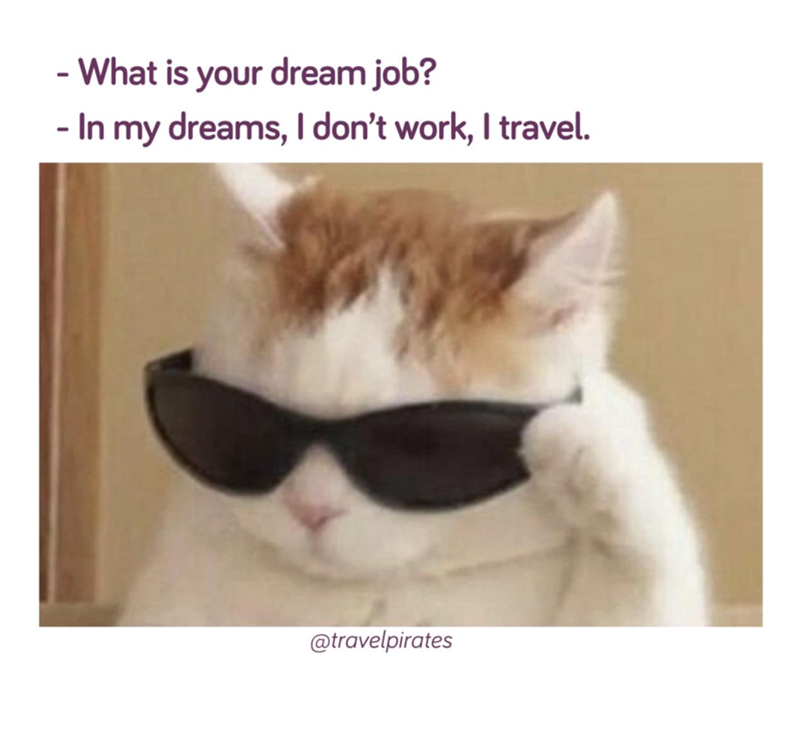 - What is your dream job? - In my dreams, I don't work, I travel. @travelpirates